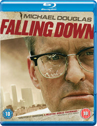 Motion Picture- Falling Down
