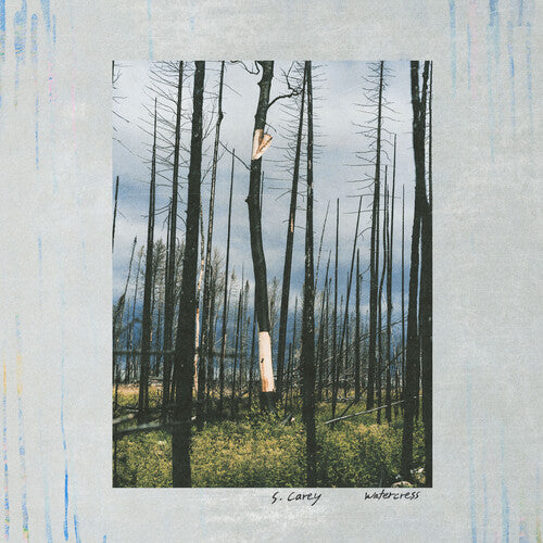 S. Carey [Bon Iver] - Watercress
