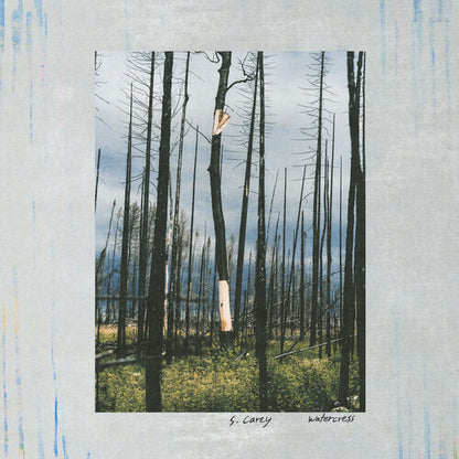 S. Carey [Bon Iver] - Watercress
