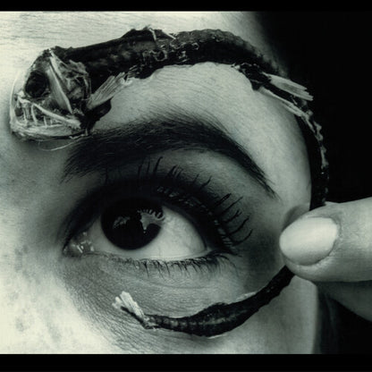 Mr. Bungle - Disco Volante