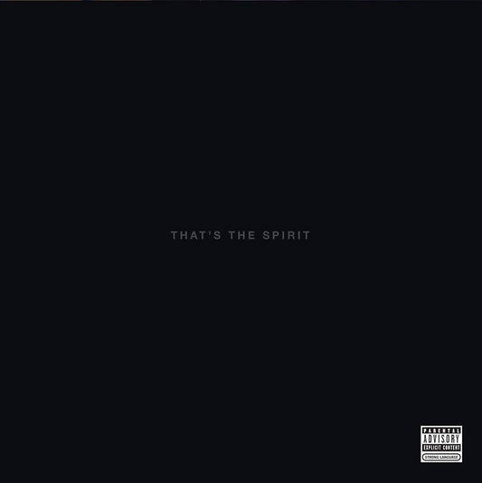 Bring Me The Horizon- That's The Spirit