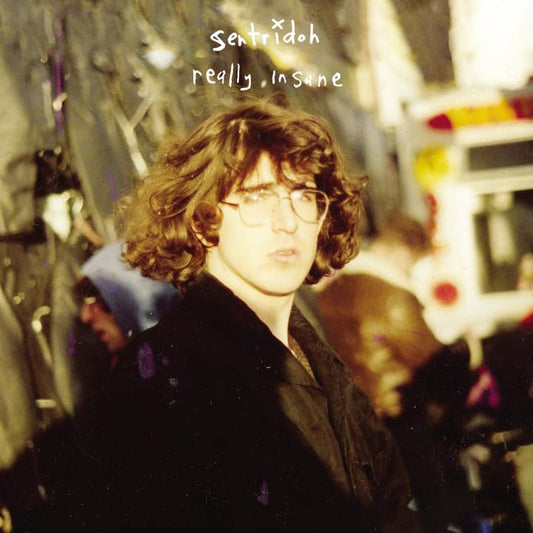 Sentridoh- Really Insane: A Lou Barlow Compendium