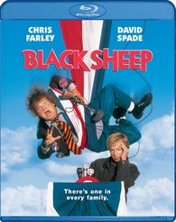 Motion Picture - Black Sheep
