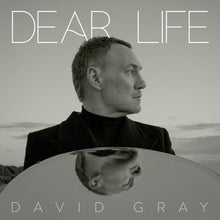 Load image into Gallery viewer, David Gray- Dear Life