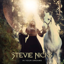 Load image into Gallery viewer, Stevie Nicks- In Your Dreams