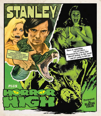 Motion Picture- Stanley / Horror High