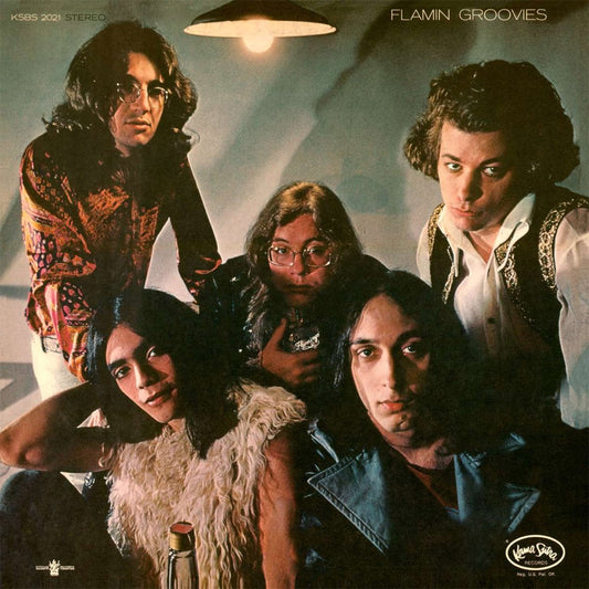 The Flamin' Groovies- Flamingo