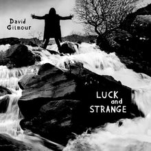 Load image into Gallery viewer, David Gilmour- Luck And Strange