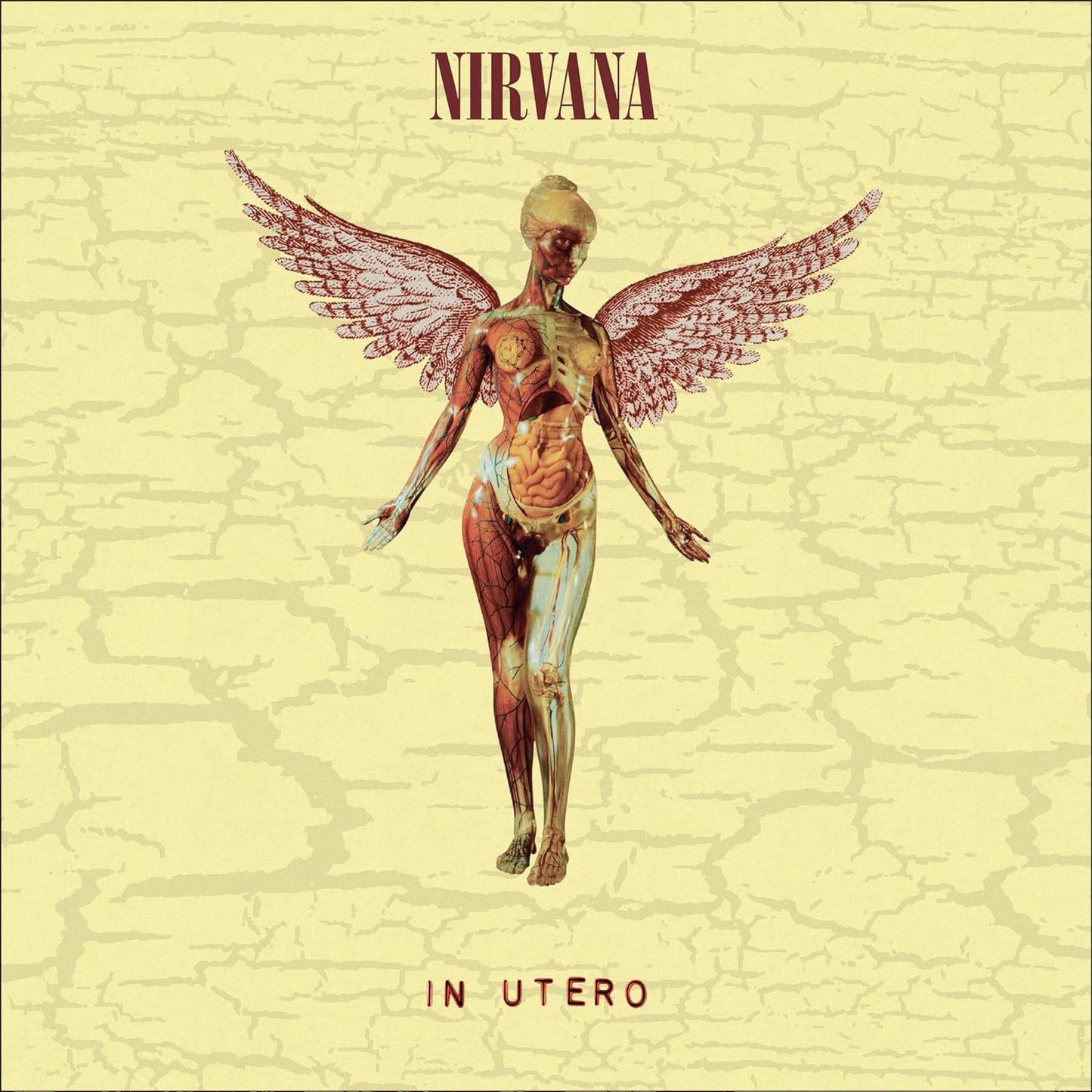 Nirvana- In Utero (30th Anniversary)