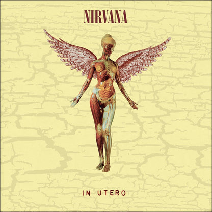 Nirvana- In Utero (30th Anniversary)