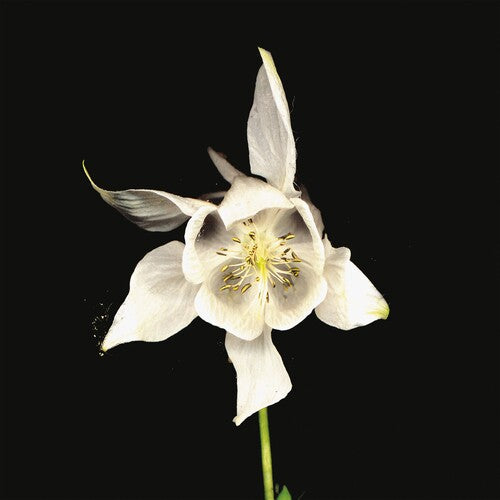 Fridge- Happiness (Anniversary Edition)