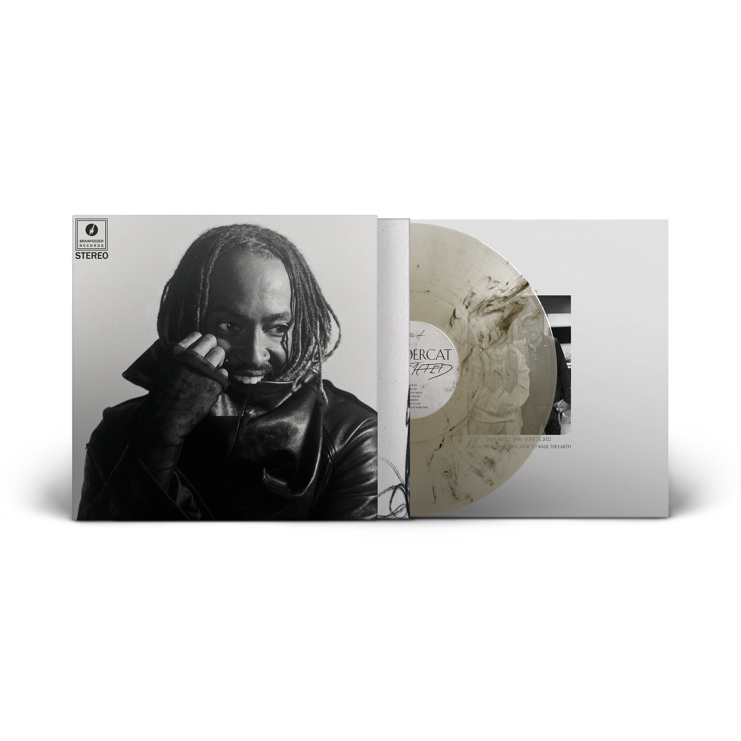 Thundercat- Distracted