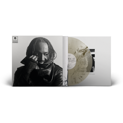 Thundercat- Distracted