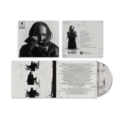 Thundercat- Distracted