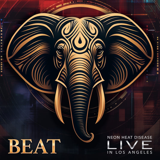 The Beat- Beat Live