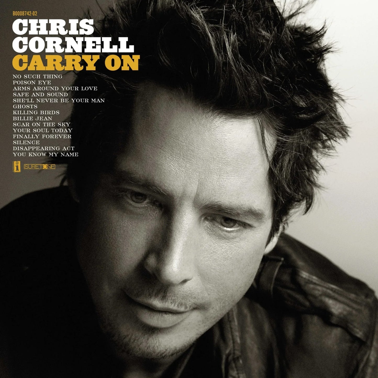 Chris Cornell- Carry On