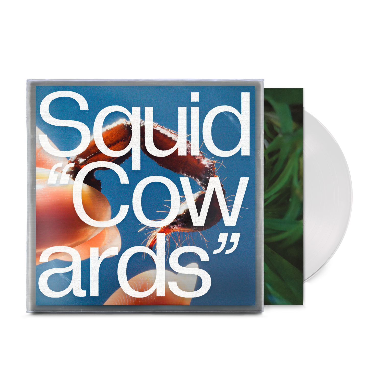 Squid - Cowards