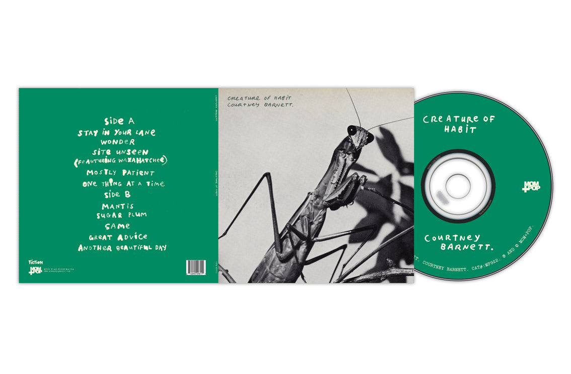Courtney Barnett- Creature Of Habit