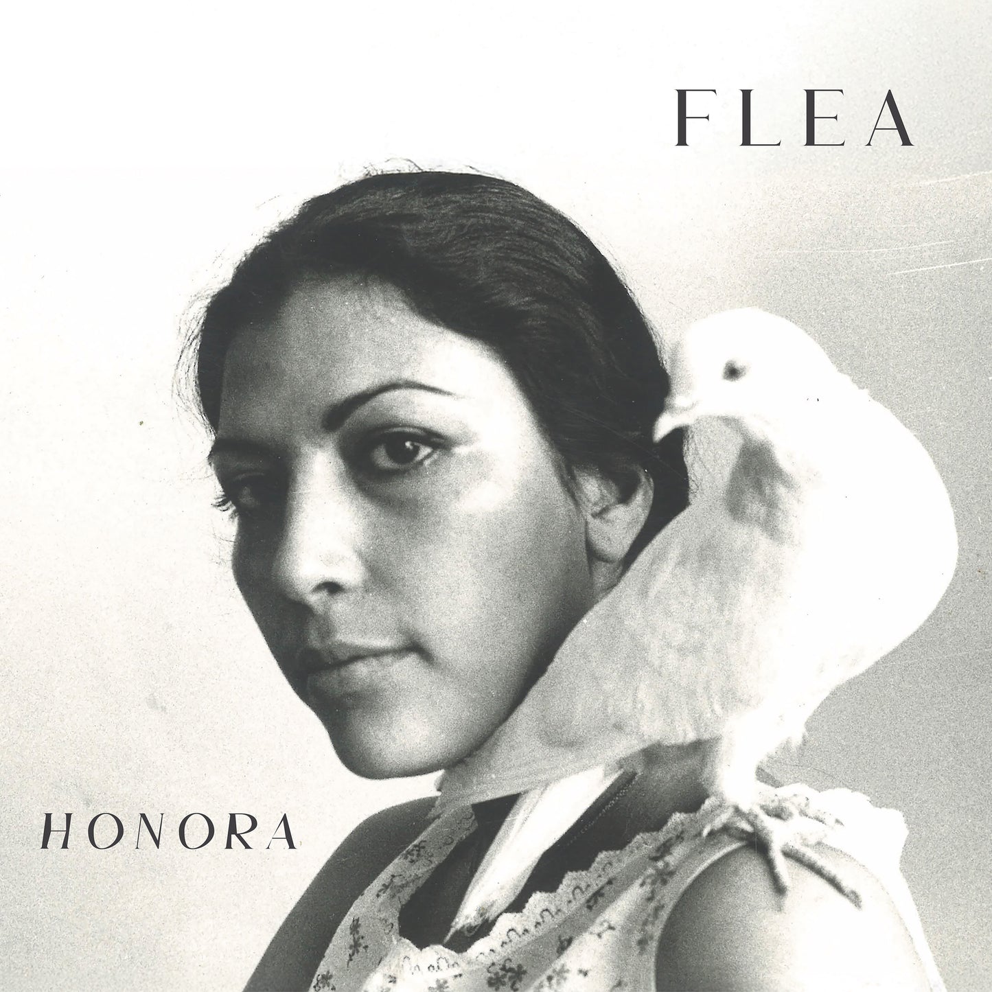 Flea- Honora