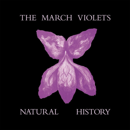 The March Violets- Natural History