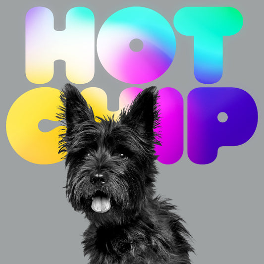 Hot Chip- A Long Way From Kansas PREORDER OUT 1/8