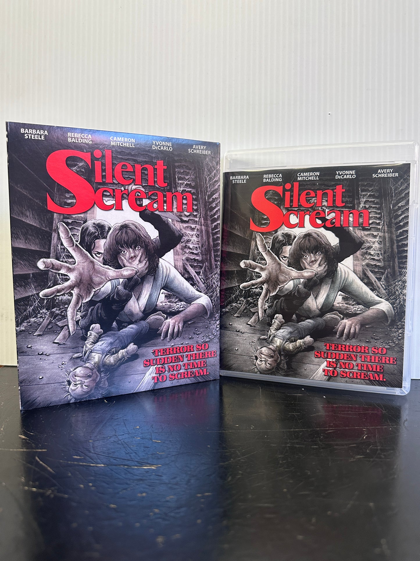 Motion Picture- The Silent Scream [USED Blu-Ray]