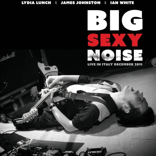 Big Sexy Noise- Live In Italy