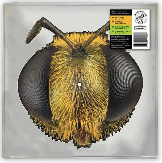 King Gizzard & The Lizard Wizard- Big Fig Wasp