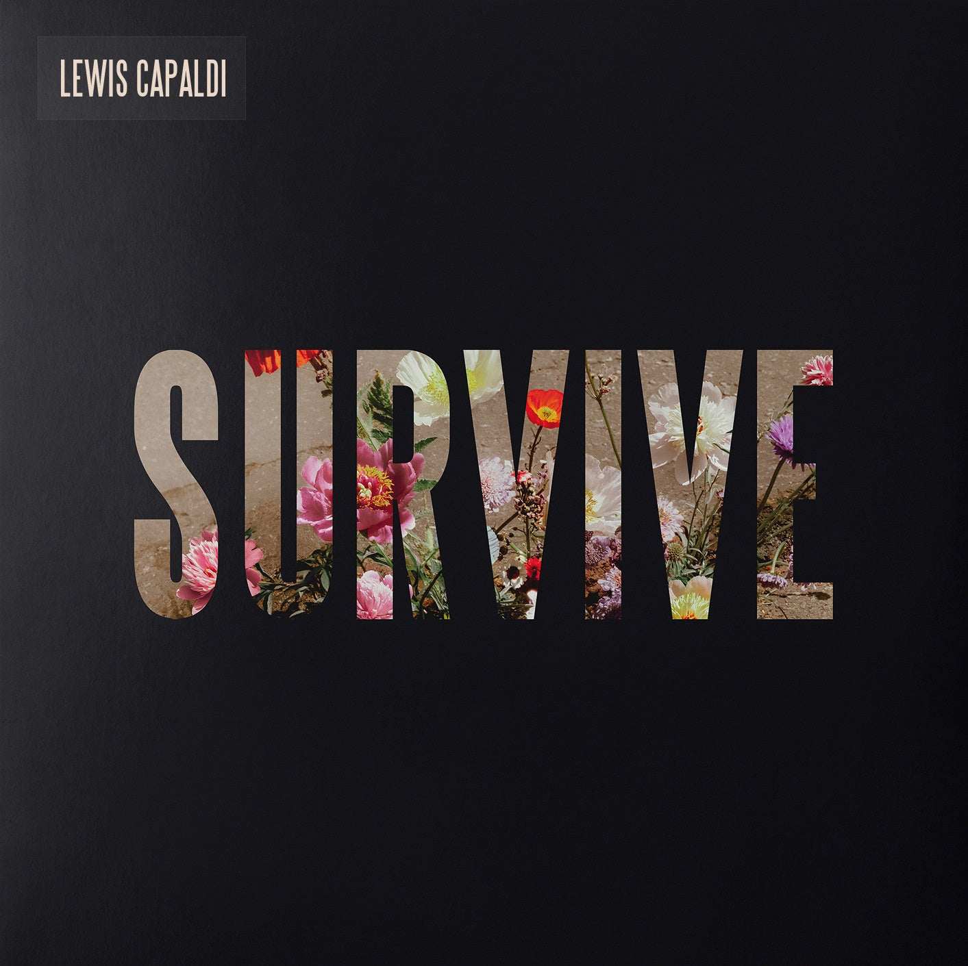 Lewis Capaldi - Survive