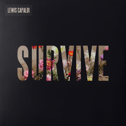 Lewis Capaldi - Survive