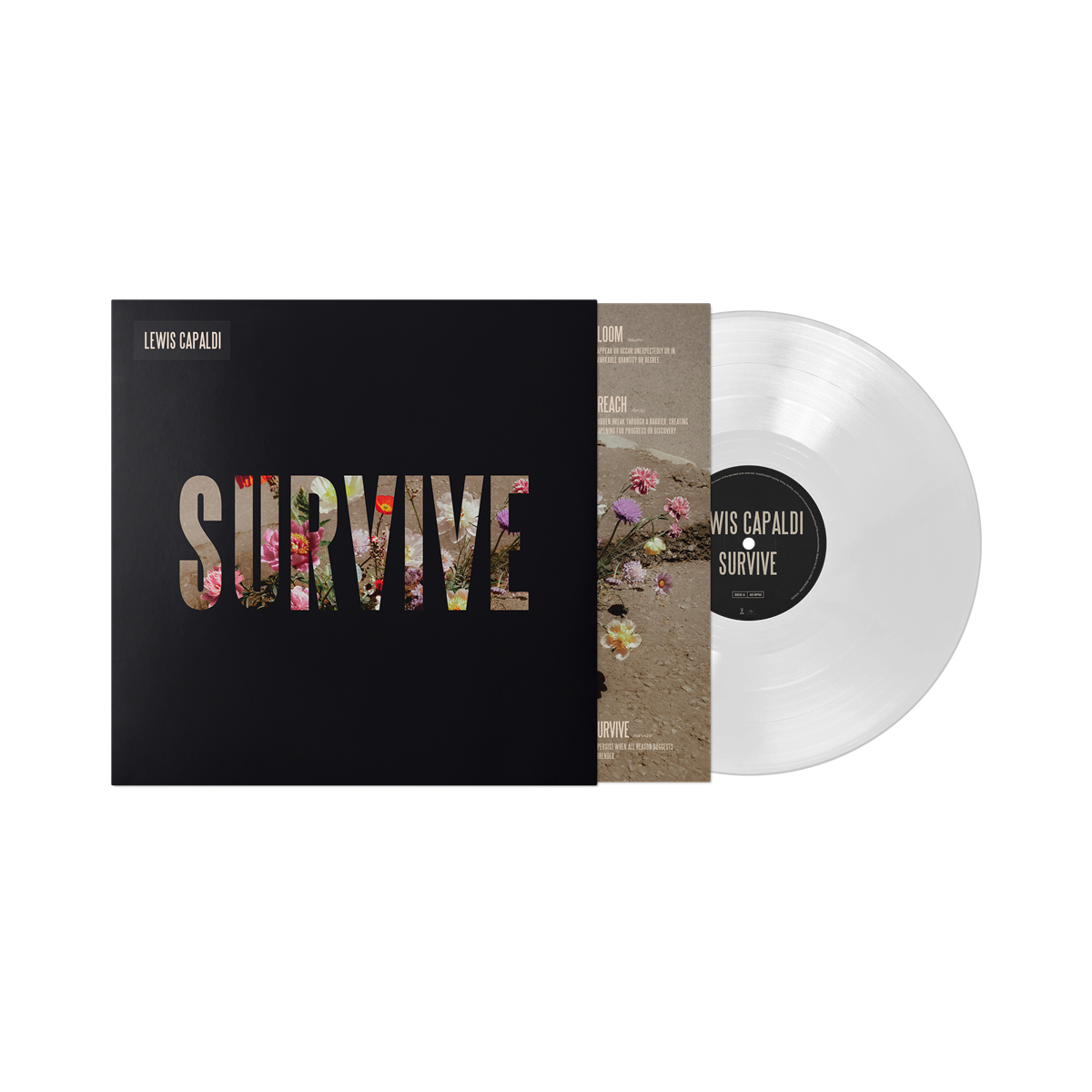Lewis Capaldi - Survive