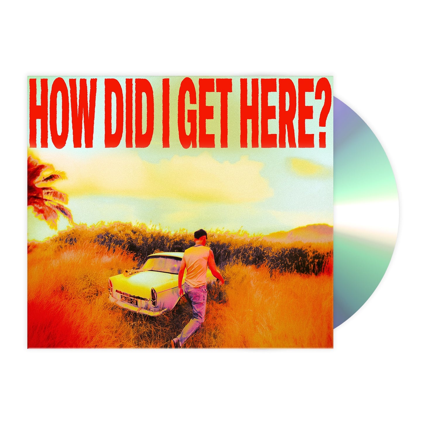 Louis Tomlinson - How Did I Get Here? PREORDER OUT 1/23