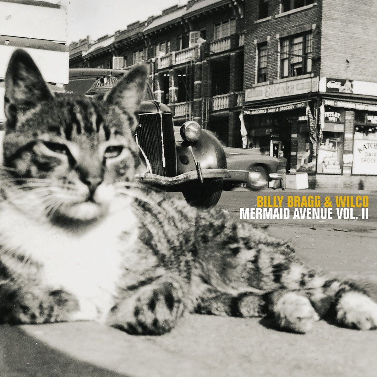 Billy Bragg & Wilco- Mermaid Avenue Vol. II PREORDER OUT 12/11