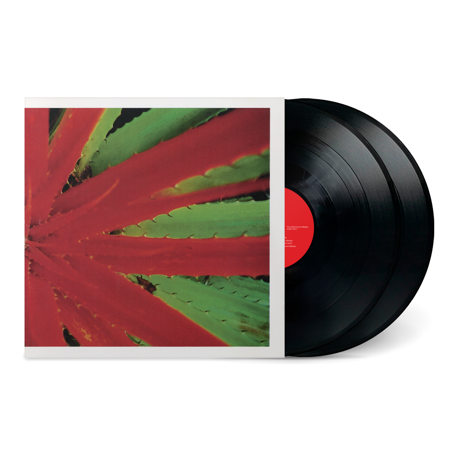 Jejune - This Afternoon's Malady PREORDER OUT 1/23