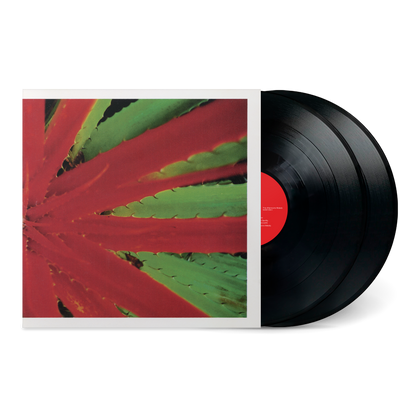 Jejune - This Afternoon's Malady PREORDER OUT 1/23