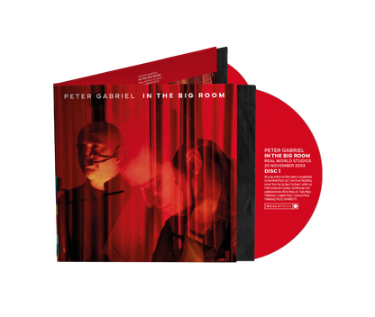 Peter Gabriel- In The Big Room