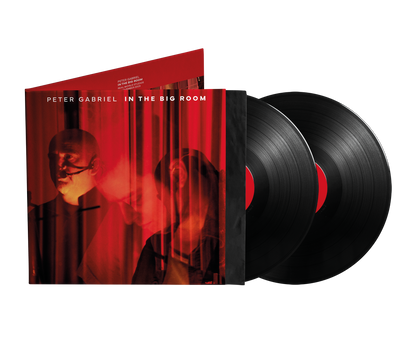 Peter Gabriel- In The Big Room