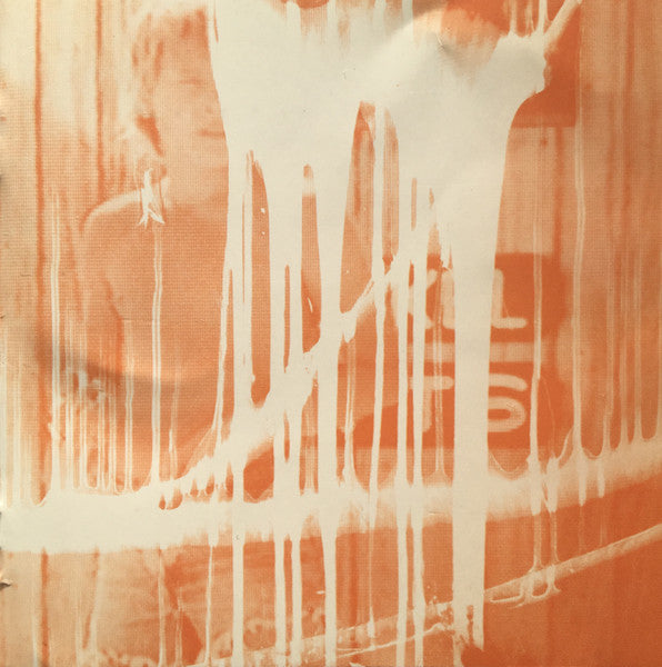 Deerhunter- Microcastle / Weird Era Continued