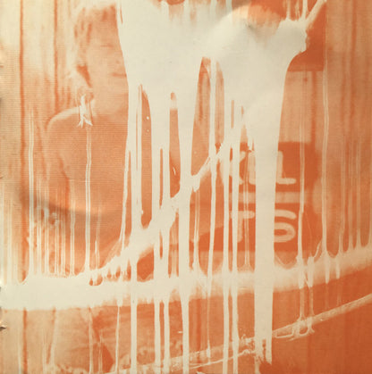 Deerhunter- Microcastle / Weird Era Continued