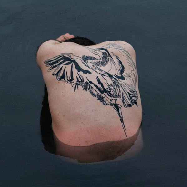 Jodi- Blue Heron