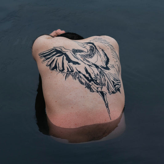 Jodi- Blue Heron
