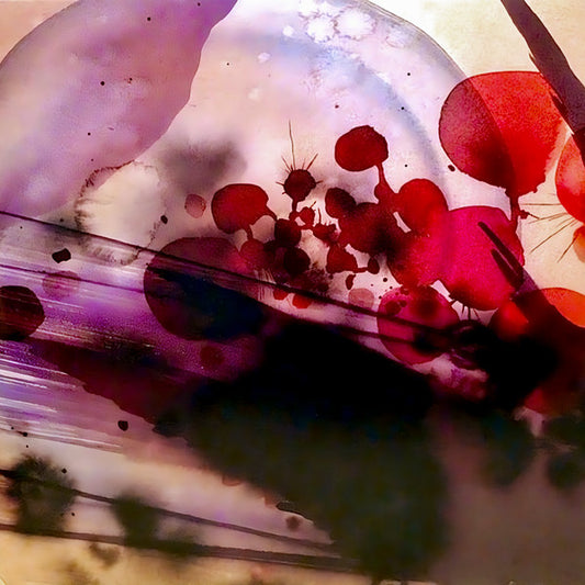 Silversun Pickups- Swoon