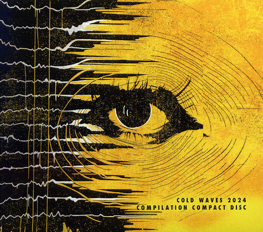 V/A- Cold Waves 2024 Compilation Compact Disc