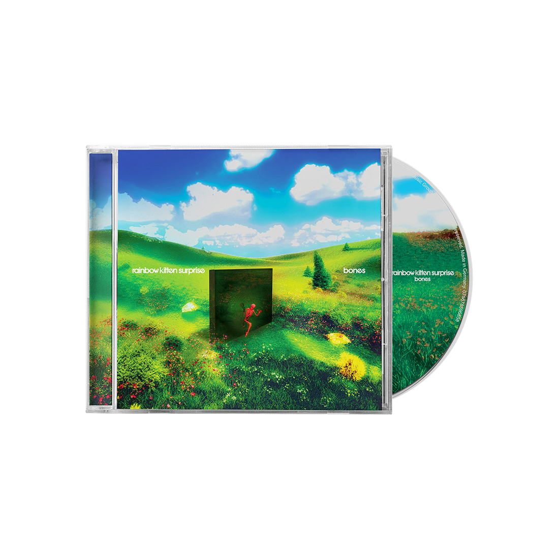 Rainbow Kitten Surprise - Bones