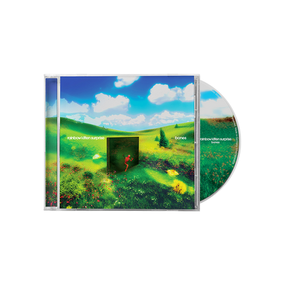 Rainbow Kitten Surprise - Bones