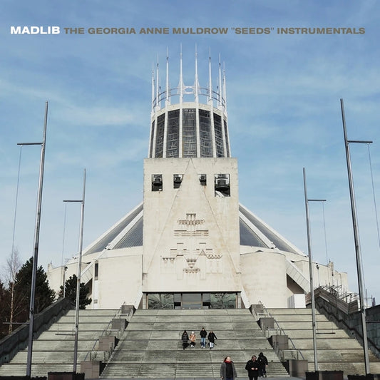 Madlib- Seeds (Instrumentals)