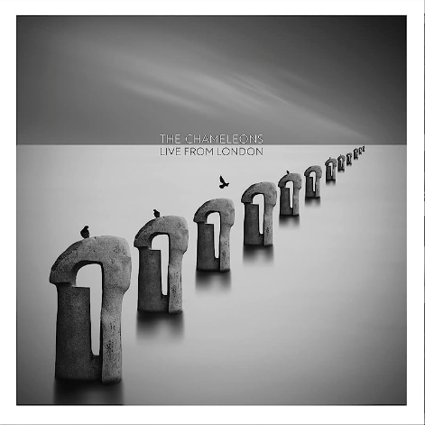 The Chameleons- Live From London