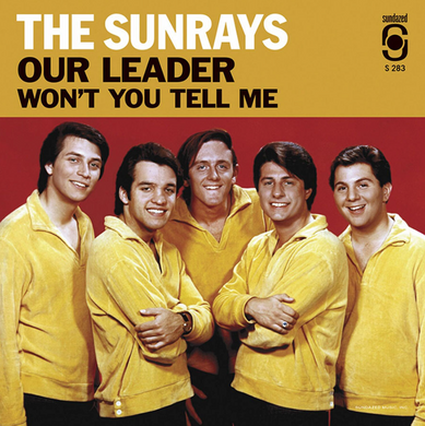 The Sunrays- Our Leader / Won't You Tell Me