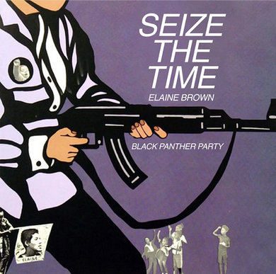 Elaine Brown- Seize The Time - Black Panther Party