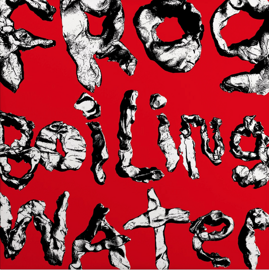 DIIV- Frog In Boiling Water